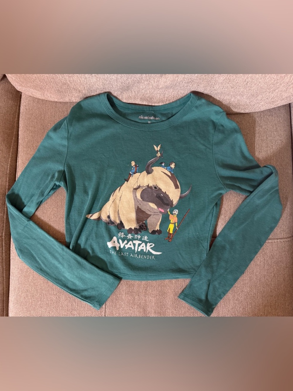 Nickelodeon Avatar The Last Airbender Long Sleeve Crop Top